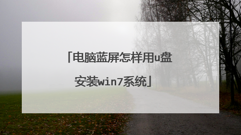 电脑蓝屏怎样用u盘安装win7系统