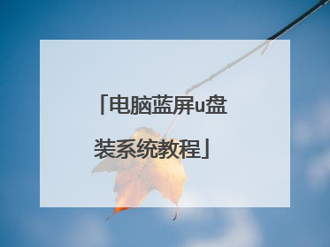 电脑蓝屏u盘装系统教程