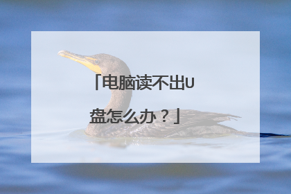 电脑读不出U盘怎么办？