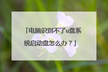 电脑识别不了u盘系统启动盘怎么办?