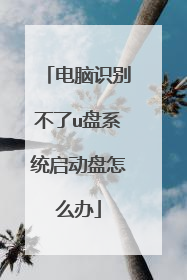 电脑识别不了u盘系统启动盘怎么办