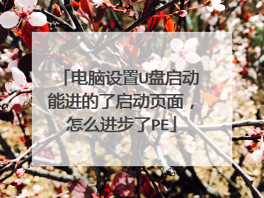 电脑设置U盘启动能进的了启动页面,怎么进步了PE