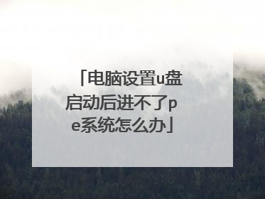 电脑设置u盘启动后进不了pe系统怎么办