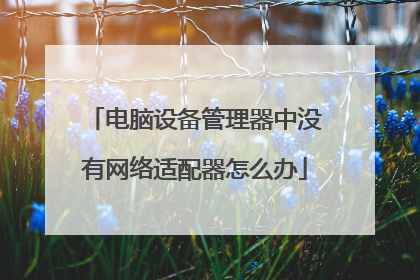 电脑设备管理器中没有网络适配器怎么办