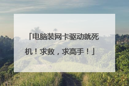 电脑装网卡驱动就死机！求救，求高手！