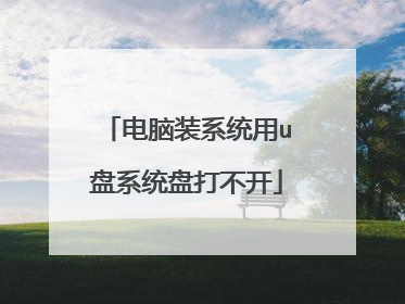 电脑装系统用u盘系统盘打不开