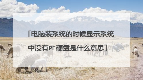 电脑装系统的时候显示系统中没有PE硬盘是什么意思