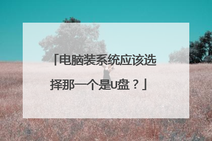 电脑装系统应该选择那一个是U盘?