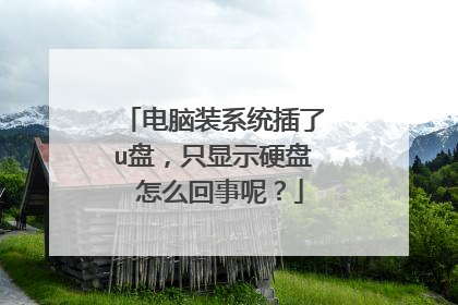 电脑装系统插了u盘,只显示硬盘 怎么回事呢?