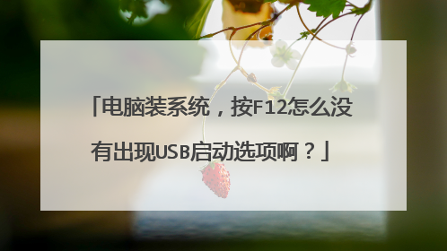 电脑装系统，按F12怎么没有出现USB启动选项啊？