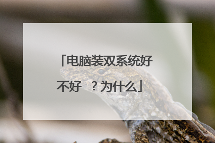 电脑装双系统好不好 ?为什么