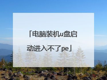 电脑装机u盘启动进入不了pe