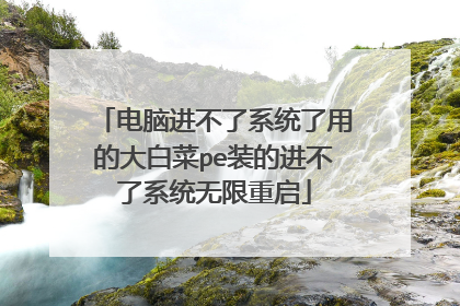 电脑进不了系统了用的大白菜pe装的进不了系统无限重启