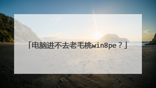 电脑进不去老毛桃win8pe？