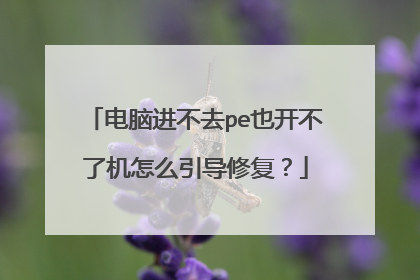 电脑进不去pe也开不了机怎么引导修复?
