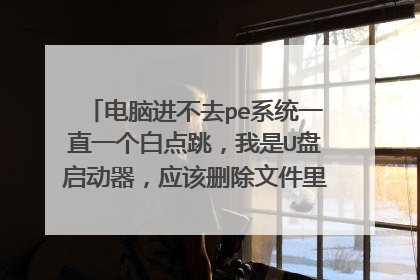 电脑进不去pe系统一直一个白点跳,我是U盘启动器,应该删除文件里面哪个软件,才可以正常引导pe系统?