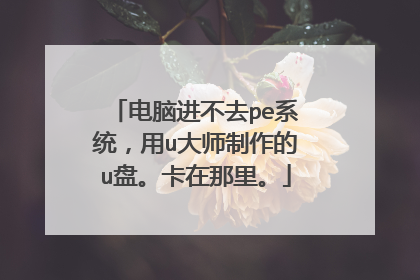 电脑进不去pe系统,用u大师制作的u盘。卡在那里。