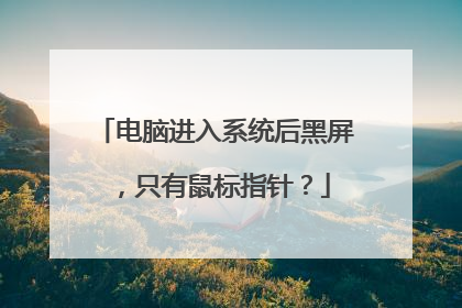 电脑进入系统后黑屏,只有鼠标指针?