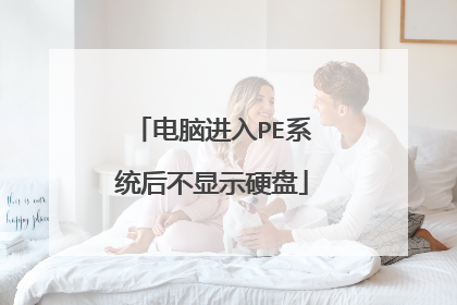 电脑进入PE系统后不显示硬盘
