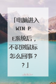 电脑进入WIN PE系统后，不识别鼠标怎么回事？？