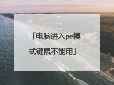 电脑进入pe模式键鼠不能用