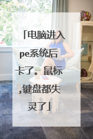 电脑进入pe系统后卡了。鼠标,键盘都失灵了