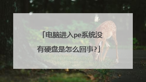 电脑进入pe系统没有硬盘是怎么回事?