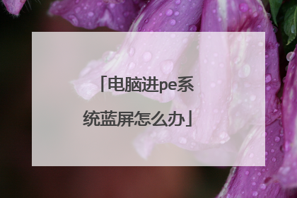 电脑进pe系统蓝屏怎么办