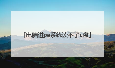 电脑进pe系统读不了u盘