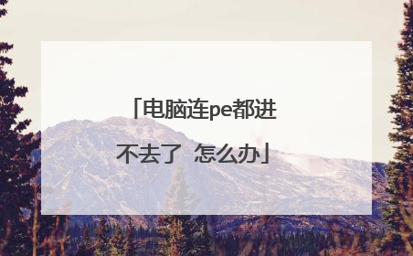 电脑连pe都进不去了 怎么办