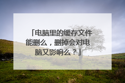 电脑里的缓存文件能删么,删掉会对电脑又影响么?