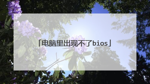 电脑里出现不了bios
