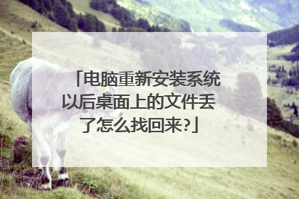 电脑重新安装系统以后桌面上的文件丢了怎么找回来?