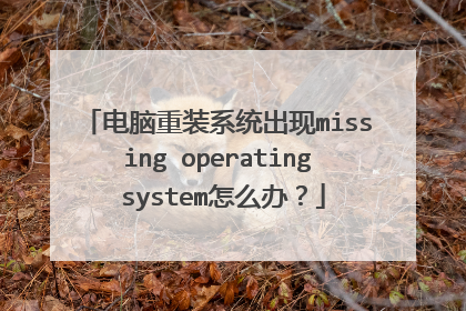 电脑重装系统出现missing operating system怎么办？