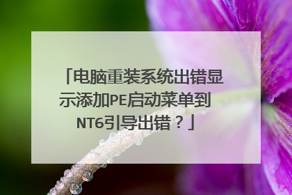 电脑重装系统出错显示添加PE启动菜单到NT6引导出错?