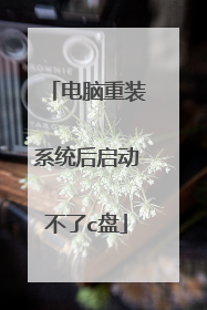电脑重装系统后启动不了c盘