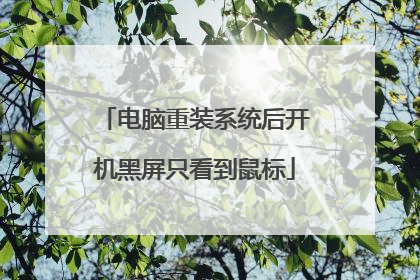电脑重装系统后开机黑屏只看到鼠标