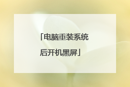 电脑重装系统后开机黑屏