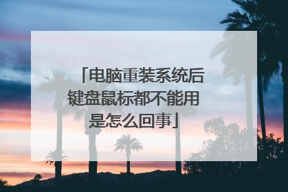 电脑重装系统后键盘鼠标都不能用是怎么回事