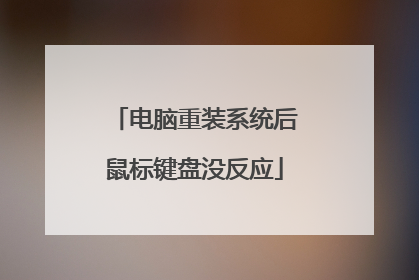 电脑重装系统后鼠标键盘没反应