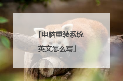 电脑重装系统英文怎么写