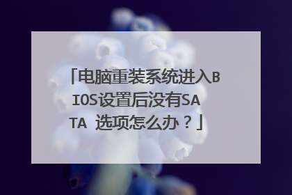 电脑重装系统进入BIOS设置后没有SATA 选项怎么办?