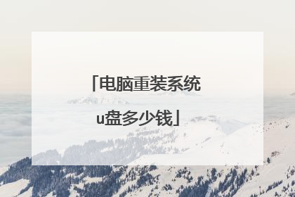 电脑重装系统u盘多少钱