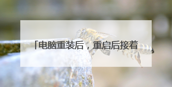 电脑重装后，重启后接着蓝屏，然后我进入win PE，发现没有硬盘，用PE里的PTDD分区表医生检测说硬盘已坏