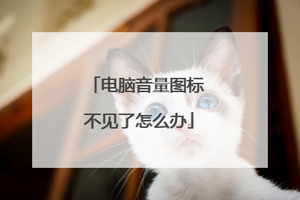 电脑音量图标不见了怎么办