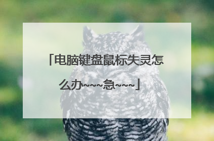 电脑键盘鼠标失灵怎么办~~~急~~~