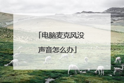 电脑麦克风没声音怎么办