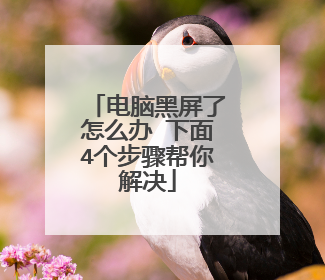电脑黑屏了怎么办 下面4个步骤帮你解决