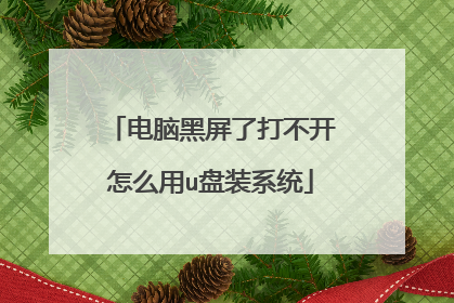 电脑黑屏了打不开怎么用u盘装系统