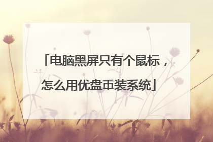 电脑黑屏只有个鼠标,怎么用优盘重装系统